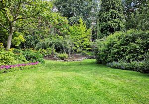 Optimiser l'expérience du jardin à Lachapelle-sous-Chaux